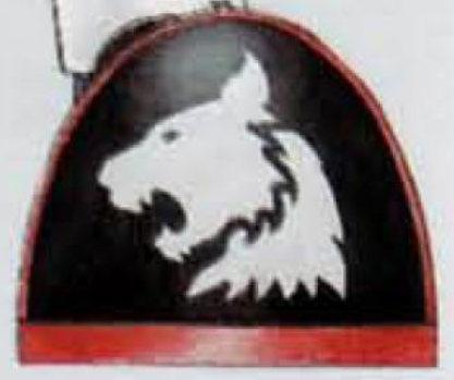  利兹联传控打法赏心悦目，白玫瑰军团虽败犹荣获赞誉